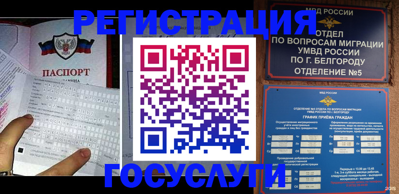 временная регистрация в квартире в Мурино